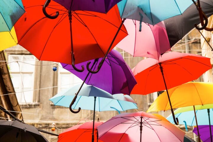 assorted color hanging umbrellas