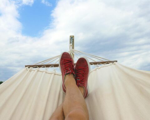 pair of red and white low top sneakers