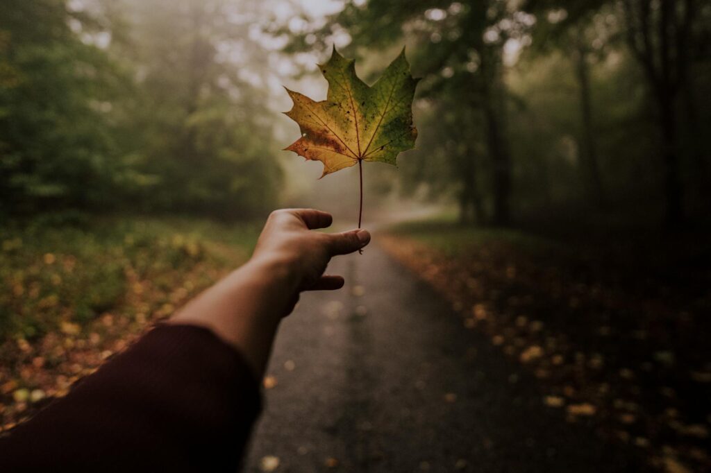 hand with a maple leaf