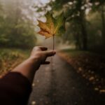 hand with a maple leaf