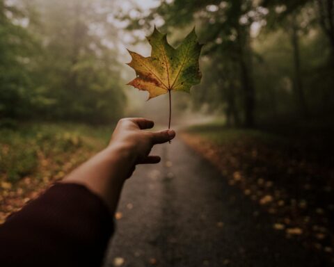 hand with a maple leaf