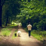 man walking dog in lush green forest path