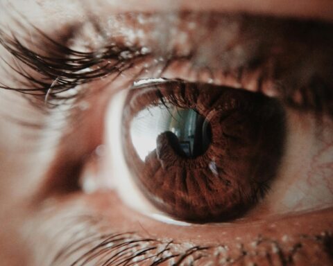 brown human eye