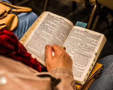 person holding opened book
