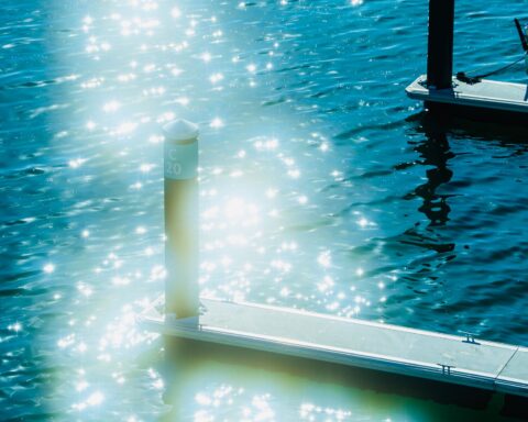 sunbeams over post on shore